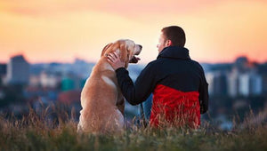 Are Dog Owners Healthier People?