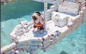 This TikTok Of A Dog Sitting In A Boat Made Of White Claw Boxes And Cans Is Incredible