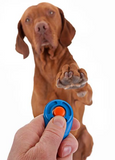 Training Your Dog With a Clicker